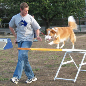 ADDPT-dog-training